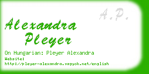 alexandra pleyer business card